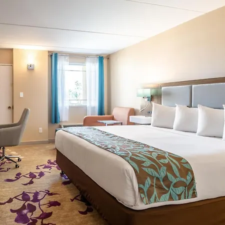 Hotel Tucson City Center, An Ascend Hotel Collection Member Habitación foto