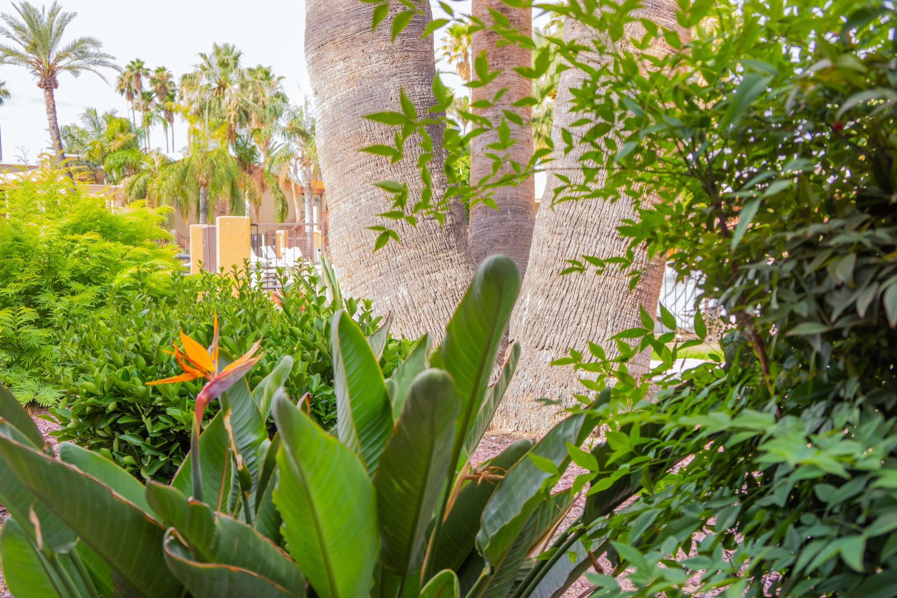 City Center, An Ascend Collection Member 2* Tucson